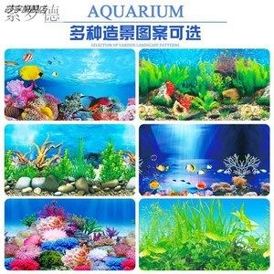 1.2米魚缸背景圖：1.2米魚缸背景圖片 魚缸百科 第3張