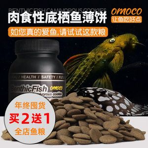 魟魚吃飼料嗎有毒嗎：魟魚吃飼料有毒嗎 魟魚百科 第2張