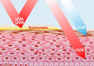 馬印uva：馬印uva咖啡豆