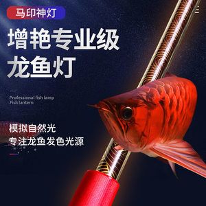 馬印2700k烤色燈對(duì)龍魚發(fā)色好嗎有影響嗎：馬印2700k烤色燈對(duì)龍魚發(fā)色好嗎？ 馬印水族 第2張