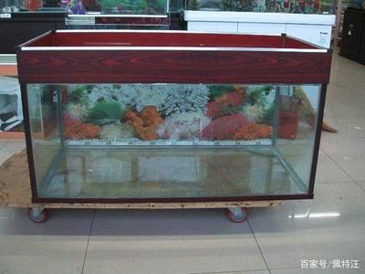 18米魚缸用多厚玻璃膠：18米長(zhǎng)的魚缸用多厚玻璃膠 魚缸定做 第1張