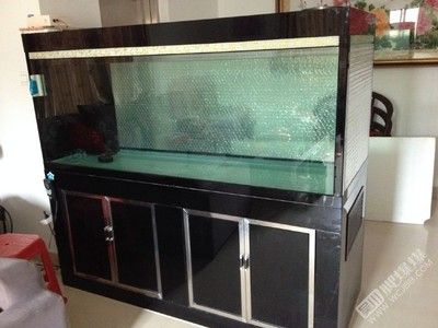 1米8魚缸：1米8魚缸怎么選擇 魚缸定做 第1張