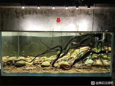 彩蝶魚缸溢流區(qū)：彩蝶魚缸溢流區(qū)噪音怎么辦 彩鰈魚缸（彩蝶魚缸） 第3張