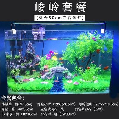 15厘米魚缸造景：15厘米小魚缸造景，創(chuàng)造精致的魚缸景觀， 魚缸百科 第2張