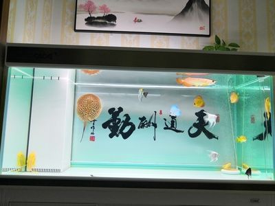 彩蝶魚缸下水管件哪個牌子好： 彩鰈魚缸（彩蝶魚缸） 第1張