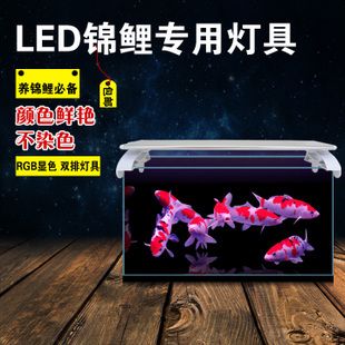 彩鰈魚缸燈架安裝：彩鰈魚缸燈架安裝主要有以下幾種方式 水族燈（魚缸燈） 第3張