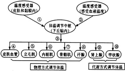 ph調(diào)節(jié)是體液調(diào)節(jié)嗎：ph調(diào)節(jié)劑在化學(xué)機(jī)械拋光（cmp）工藝中有重要應(yīng)用 PH調(diào)節(jié)劑 第4張