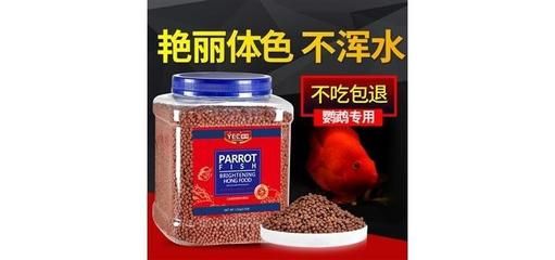 yee鸚鵡魚飼料怎么樣：yee品牌的鸚鵡魚飼料如何？