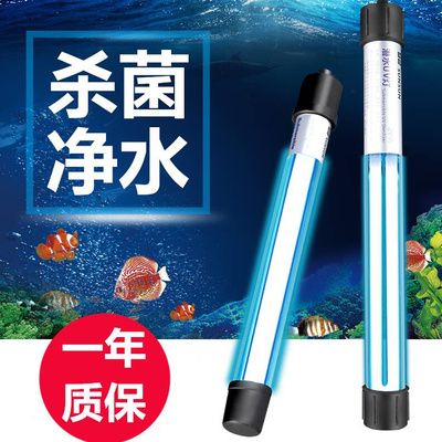 uv魚缸殺菌燈有用嗎：uv魚缸殺菌燈使用注意事項