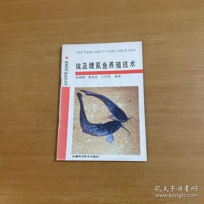 埃及塘虱魚：埃及塘虱魚的養(yǎng)殖方法