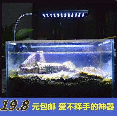 LEO魚缸燈：leo魚缸燈有哪些優(yōu)點和缺點？ 水族燈（魚缸燈） 第4張