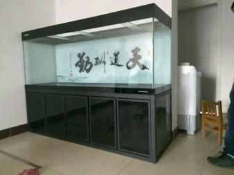 彩蝶魚缸西安總代理電話：關(guān)于彩蝶魚缸西安總代理電話 彩鰈魚缸（彩蝶魚缸） 第3張