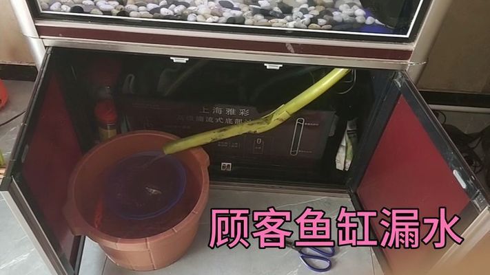 大型魚缸漏水怎么辦呢：大型魚缸漏水怎么處理大型魚缸漏水的方法和方法 魚缸百科 第4張