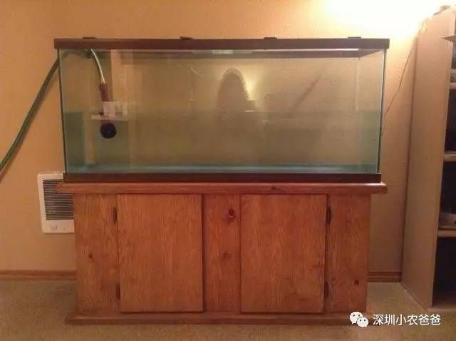 成品魚缸怎么改燈：魚缸led燈怎么改造 水族燈（魚缸燈） 第2張