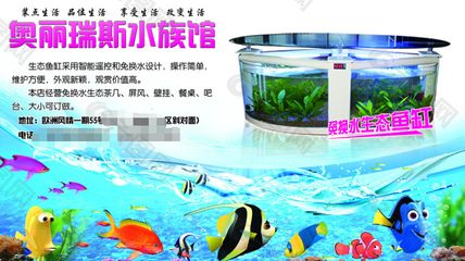 奧麗瑞斯魚缸價格：奧麗瑞斯魚缸價格因型號、尺寸、功能以及是否定制而異 魚缸百科 第4張