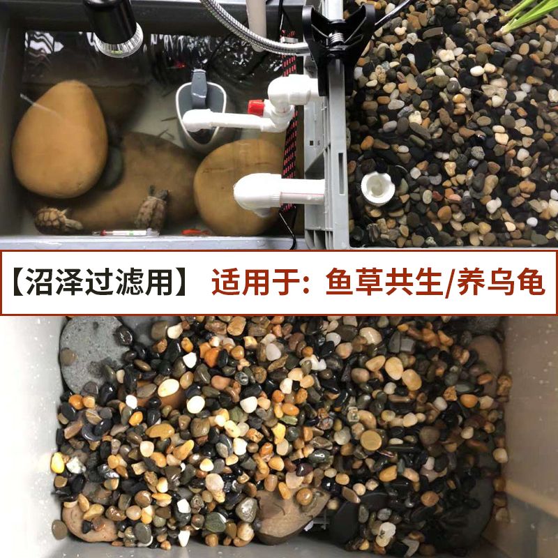 鵝卵石造景魚缸教學(xué)設(shè)計：鵝卵石造景的技巧 魚缸百科 第1張