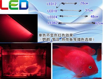 LED魚缸燈顏色怎么調(diào)：led魚缸燈的顏色調(diào)節(jié)方法 水族燈（魚缸燈） 第3張