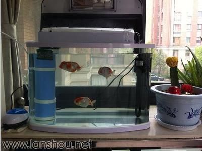 成品魚缸改造燈怎么安裝：成品魚缸改造燈的安裝方法 水族燈（魚缸燈） 第3張