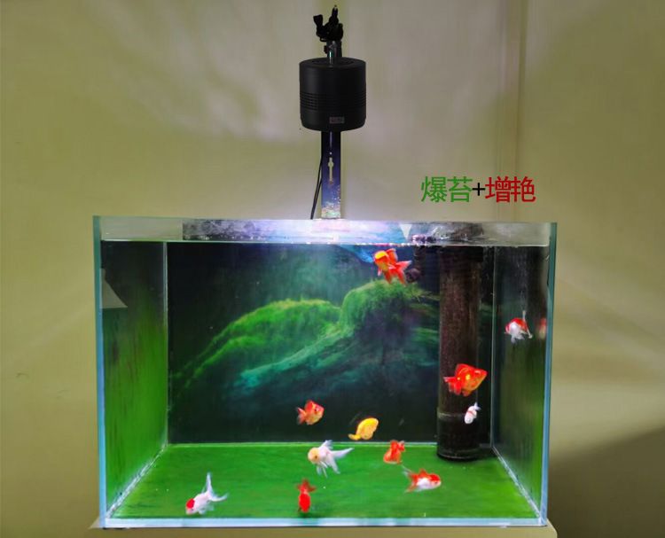 彩蝶tbf魚缸怎么裝筒燈：彩蝶tbf魚缸上方安裝筒燈安裝步驟和注意事項 水族燈（魚缸燈） 第1張