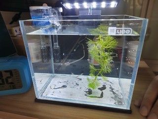 yee牌魚缸是十大品牌：yee品牌魚缸在官方排行榜中沒有進(jìn)入十大品牌之列 yee 第4張