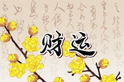 北陽(yáng)臺(tái)放魚(yú)缸有什么講究嗎視頻：北陽(yáng)臺(tái)放置魚(yú)缸擺放陽(yáng)臺(tái)需要考慮幾個(gè)關(guān)鍵因素 魚(yú)缸百科 第4張