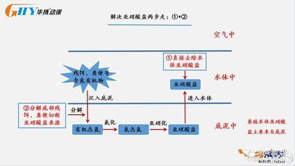 100l水是多大魚(yú)缸：100升水是多大的魚(yú)缸 魚(yú)缸定做 第2張