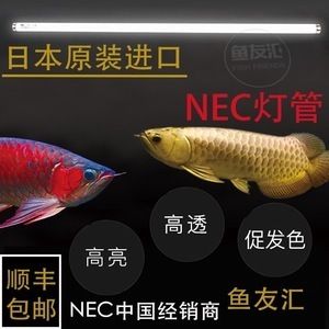 彩蝶魚缸燈架拆卸：如何拆卸彩蝶魚缸燈架 水族燈（魚缸燈）