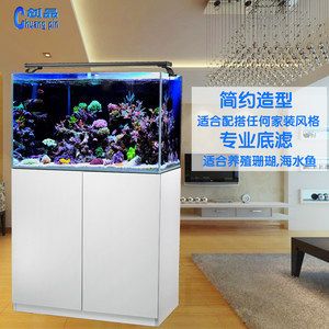 超白魚缸改底濾：超白魚缸改底濾是一種常見的水族箱改造方式可以有效節(jié)省空間 魚缸百科 第1張