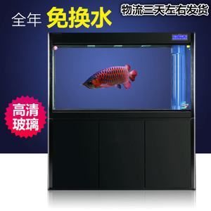 超白魚缸改底濾：超白魚缸改底濾是一種常見的水族箱改造方式可以有效節(jié)省空間 魚缸百科 第3張