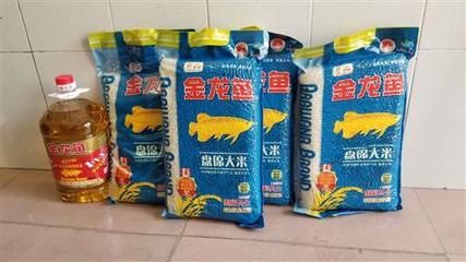 金龍魚買大的還是買小的比較好：購買金龍魚時，選擇大的還是小的取決于您的飼養(yǎng)經(jīng)驗和偏好 龍魚百科