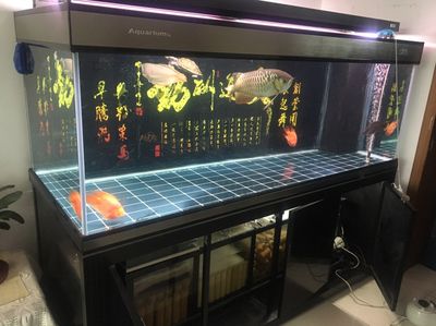 彩蝶燈架怎么固定在魚缸上面：彩蝶燈架的固定方法 水族燈（魚缸燈） 第3張