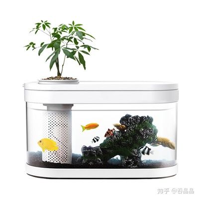 大型魚缸燈光：大型魚缸燈光在魚類養(yǎng)殖和觀賞中發(fā)揮著多方面的重要作用 水族燈（魚缸燈） 第4張