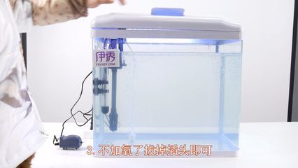 多大的魚缸需要加氧氣：養(yǎng)魚技巧：魚缸加氧泵的選擇指南