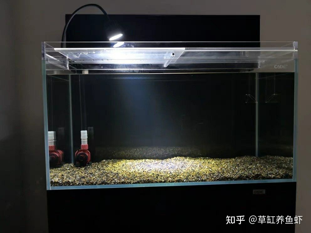 超白魚(yú)缸哪個(gè)牌子好用：超白魚(yú)缸品牌排行榜和用戶評(píng)價(jià)推薦超白魚(yú)缸品牌推薦 魚(yú)缸百科 第2張