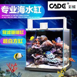 彩蝶魚缸管件響聲大：彩蝶魚缸管件響聲大怎么辦 彩鰈魚缸（彩蝶魚缸） 第3張