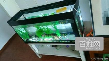 搬家魚缸搬不走怎么辦：搬家時(shí)遇到魚缸過大或過重?zé)o法搬走的情況 魚缸百科 第3張