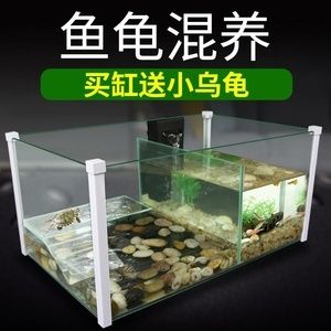 玻璃魚缸專用膠怎么用視頻：關(guān)于玻璃魚缸專用膠的使用方法和注意事項(xiàng) 魚缸百科 第1張