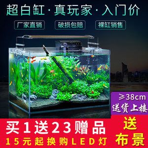 斑馬魚多大魚缸合適：斑馬魚的繁殖方法