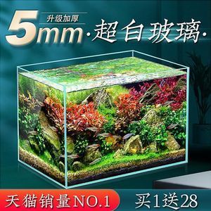 玻璃鋼魚缸和玻璃魚缸的區(qū)別是什么：玻璃鋼魚缸與玻璃魚缸的區(qū)別 魚缸百科 第2張