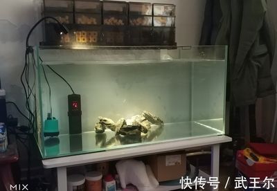 1.4米魚(yú)缸水泵調(diào)到多大功率：選擇1.4米魚(yú)缸水泵的功率需要綜合考慮多個(gè)因素 魚(yú)缸定做 第2張