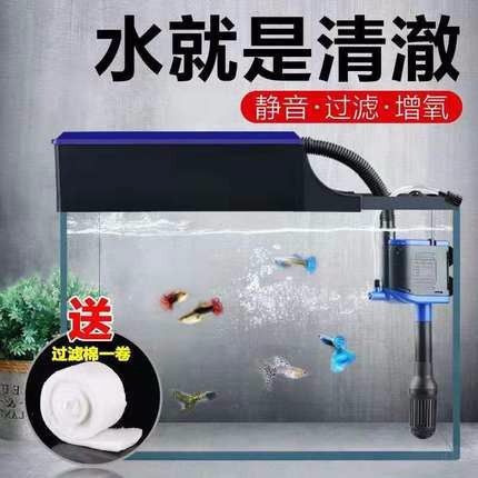 彩鰈魚缸過(guò)濾器：彩鰈魚缸過(guò)濾器使用方法和注意事項(xiàng) 彩鰈魚缸（彩蝶魚缸） 第3張