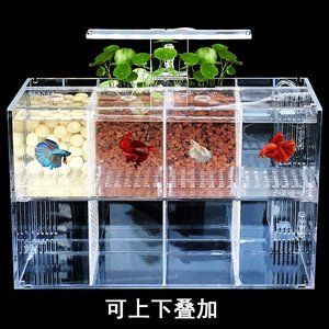 彩鰈魚缸過(guò)濾器：彩鰈魚缸過(guò)濾器使用方法和注意事項(xiàng) 彩鰈魚缸（彩蝶魚缸） 第4張