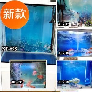 養(yǎng)龍魚缸背景用什么顏色：養(yǎng)龍魚時(shí)缸背景顏色的選擇