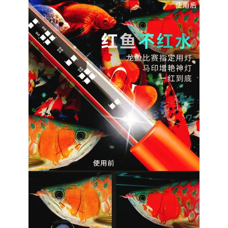 錦鯉用馬印神燈好不好：馬印神燈在錦鯉的養(yǎng)護(hù)中有較好的效果 馬印水族 第4張