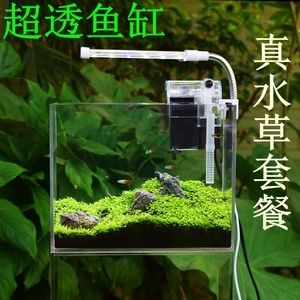 斗魚缸裝飾千萬別放陶飾品：如何選擇適合的斗魚缸 魚缸百科 第3張