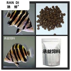 印尼虎魚吃飼料：印尼虎魚吃什么飼料 虎魚百科 第3張