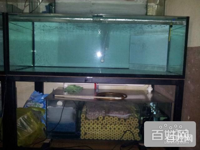 魟魚(yú)能清理魚(yú)缸垃圾：魟魚(yú)有一定的清理魚(yú)缸垃圾的能力以下是具體的解釋 魟魚(yú)百科 第1張