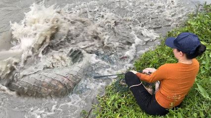 龍魚一直停在水面不動了：龍魚一直停在水面不動了怎么辦