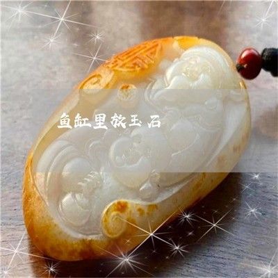 把玉放魚缸里好嗎視頻：將玉放入魚缸有什么風險？ 魚缸百科 第1張