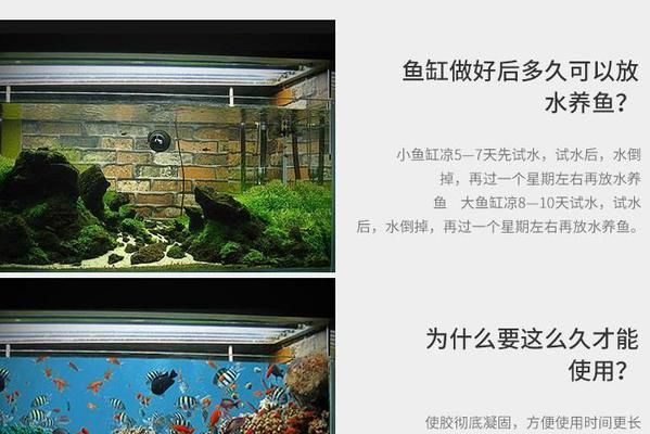 大魚缸怎么粘：大魚缸的保養(yǎng)與保養(yǎng) 魚缸百科 第1張